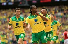 Wes Hoolahan and Norwich will feature in next season's Premier League