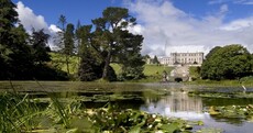 9 beautiful gardens in Ireland you should visit soon