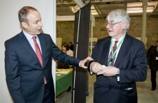 This high-profile member of Fianna Fáil's 'old guard' WON'T be on the ticket