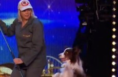 Britain's Got Talent producers apologise for 'switched dog' stunt