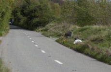Man arrested by gardaí investigating the murder of Andrew Guerrine