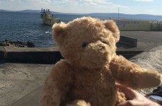 Good news: 'Seánie bear' has been reunited with his owner