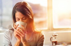 Coffee made with elephant dung is the coolest, newest thing