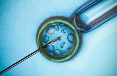 Court denies mother's attempt to use her dead daughter's frozen eggs