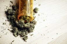 A woman called the cops to report a drug deal gone wrong (you can imagine what happened)