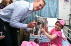In pictures: Cats visit children's hospital in Crumlin