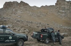 Afghan police chief: missing Germans shot to death
