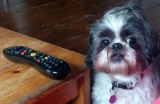 What to watch on TV tonight: Tuesday