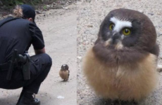 Here's what went viral today: Friday