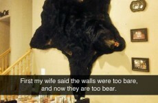 Here's what went viral today: Sunday