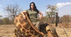 "Giraffes are very dangerous": US woman defends big game hunting (and prompts fresh outrage)
