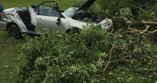 Amazingly, no-one was seriously hurt when this car smashed into trees