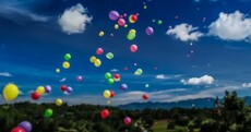 Sure, they look pretty - but charity balloon releases are killing birds and dolphins
