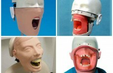 So dentists' training dummies are the most horrifying things on the planet