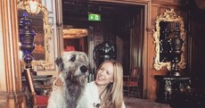 Here's what it's like inside the best hotel in the world (it's in Mayo)
