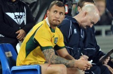 Wallabies coach Cheika defends Cooper after he's blamed for All Blacks loss