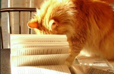 Watch: What is the best book you've read this year?