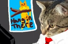 These two cats have become the true heroes of Snapchat