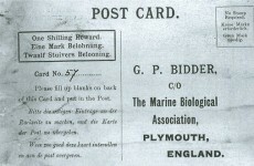 This could be the oldest message in a bottle ever found
