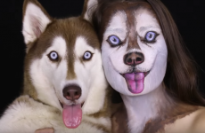 Watch: Woman transforms herself into dog using some amazing make-up skills