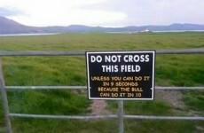 12 'Irish' images that have taken the internet by storm