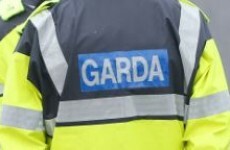 Two charged after garda struck and seriously injured by stolen car
