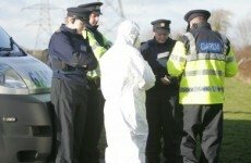 Man due in court over fatal Roscommon stabbing