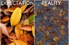 Irish Autumn: Expectations Vs The Unavoidable Reality