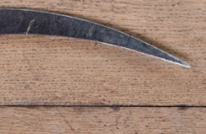 Elderly man slashed with hook as burglars ransack bedroom