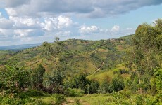 36 killed in Burundi pub shooting