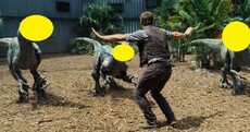 Can you guess what the biggest film of the summer was?