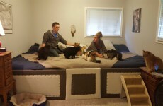 This couple just came up with a genius solution to let their pets sleep in their bed