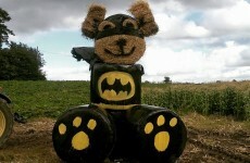 Look at what this farm in Meath has created from some bales of hay