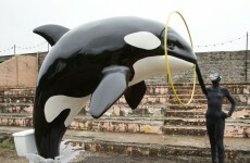 Banksy's theme park taken apart to build refugee shelters