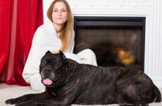 The Burning Question*: When are we putting the heating back on?