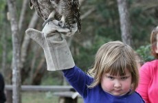 This little girl holding an owl has become an unstoppable meme