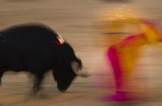 Catalonia marks final day of bullfighting ahead of ban