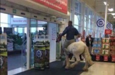 Man goes shopping in Galway Tesco - on horseback