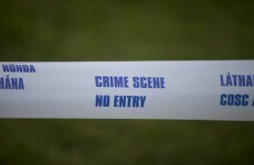 Incident involving armed Gardaí in south Dublin comes to a close