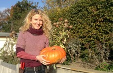 Carving a jack-o'-lantern? This woman reckons the tradition borders on sacrilege