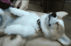 13 things all ridiculously lazy people are guilty of doing
