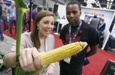 EU countries won't be able to opt out from genetically-modified food