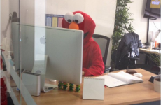 14 Halloween heroes in Irish offices today