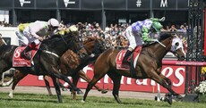 Willie Mullins pipped at Melbourne Cup by 100/1 outsider with a remarkable story