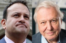'Leo needs to accept he's not the David Attenborough of the health service'