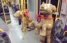There are dogs all over Dublin today for a heartbreaking reason