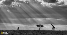 Look at these 12 photos and appreciate the beautiful world we live in