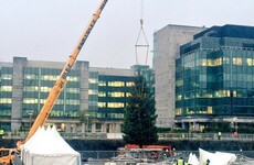 This huge 50ft Christmas tree just went up in Dublin