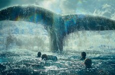 This true-life sinking of a whaleship by a 'monster' inspired Moby Dick