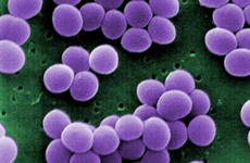 This superbug is on the rise in Irish hospitals